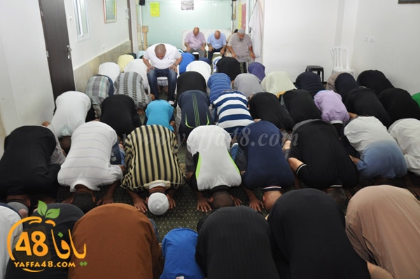 mohamed elfatekh3 (11).JPG